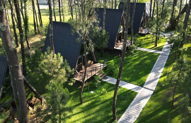 Seaside Chalet Guruli Kokhebi - Photo 27