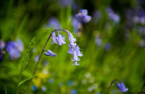 Coachmans Bothy - 50m from the beach - Foto 60