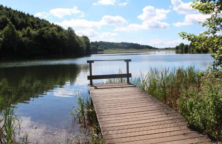 Ferienwohnungen Willrich - Foto 37