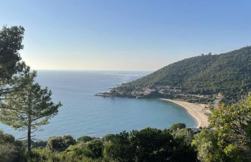 Apartment Le Télémaque 2 pièces Mezzanine by Interhome - Foto 21