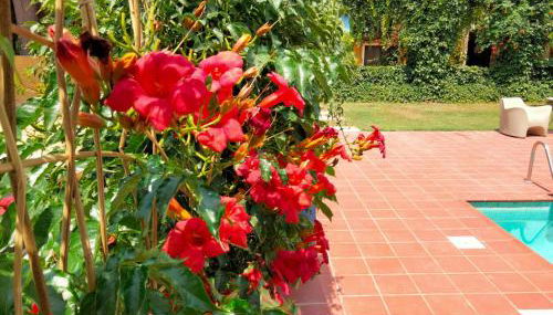 MAS DE BERNIS - Estiu - Foto 4