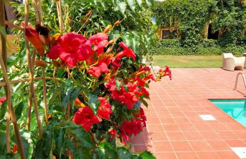 MAS DE BERNIS - Masovers - Foto 19