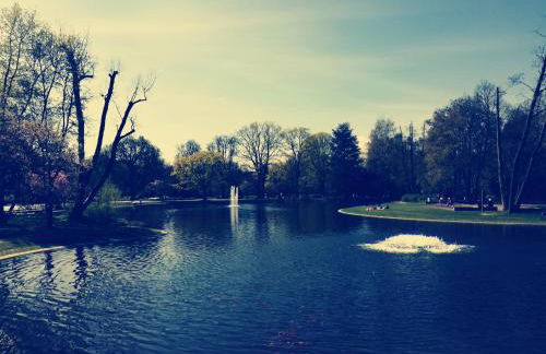 Ferien - und Messewohnung am Stadtpark - Foto 3