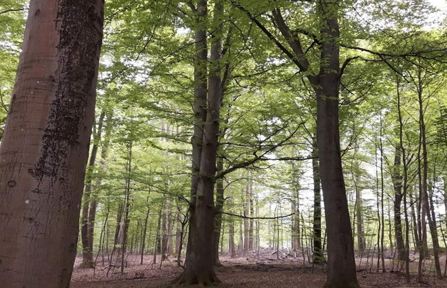 4 Person Holiday Home in Frederiksvaerk-by Traum - Foto 21