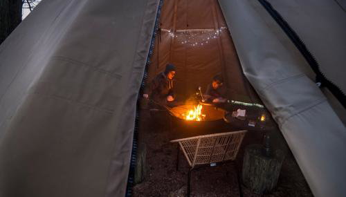 Off Grid Travel at Cambo Estate - Foto 3, Garden