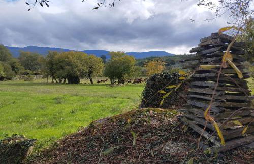 Fabulous 5 BR hidden gem Serra da Estrela - Foto 9