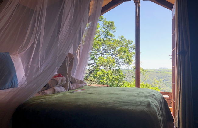 Teniqua Treetops - Foto 14