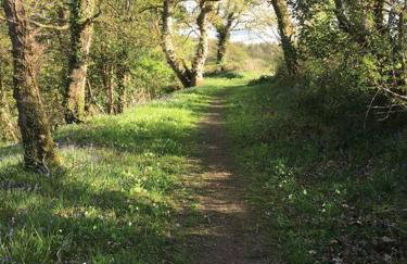 Oaktree Cottage, West Atheston Farm - Foto 16