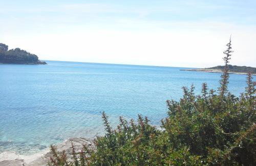 Apartment Greta,50 METERS TO THE BEACH - Foto 21