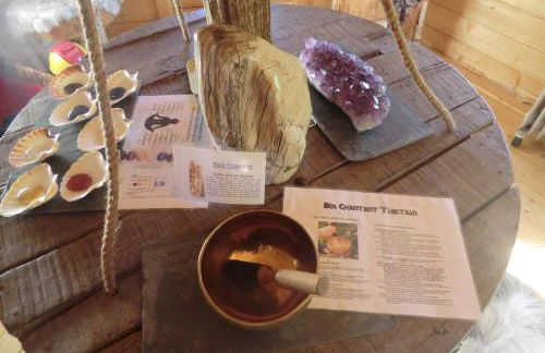 KOTA Finlandais bien être , les gîtes de l'étang - Foto 42