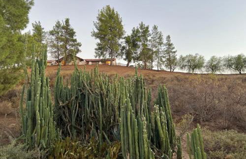 Winery Getaway with Spa and Amazing Hilltop View - Foto 47