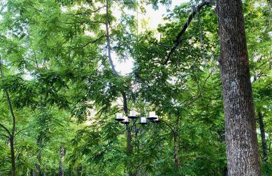 Paradise Meadows Farmhouse - Foto 30