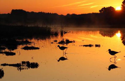 Maison vue mer - Golfe du Morbihan - 10 Personnes - Foto 8