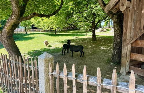 Gut Schwarz-n Hof Ferienwohnungen - Foto 15