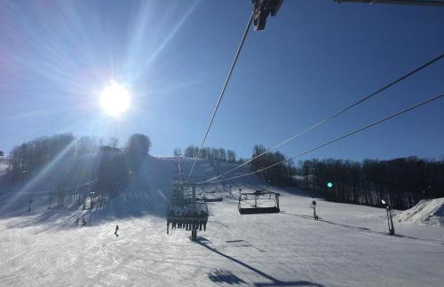 Boyne Mountain Creekside Condo - Foto 57