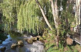 Nostalgie erleben im historischen Turmwächterhaus - Foto 26