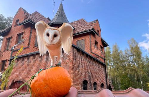 Leśna Baszta - Foto 15