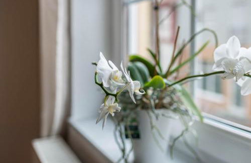 Aposto Apartments 2 - Foto 25