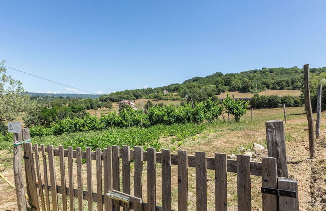 Lo Specchio Di Alice - Foto 29