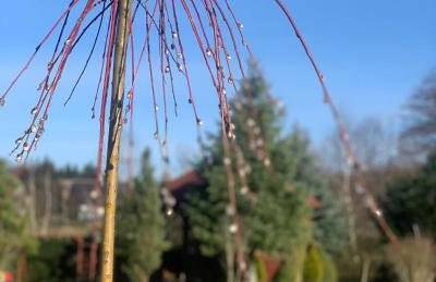 Agro na Wapniarni - Foto 43