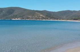 Riccio di Mare - Foto 15