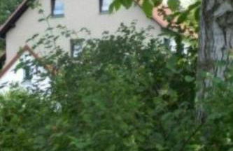 Apartment Preiser in Schieder-Schwalenberg by Interhome - Foto 12