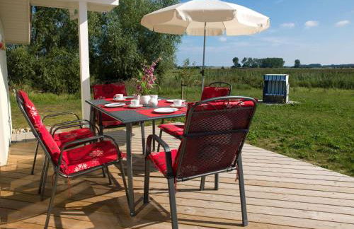 Dänische Ferienhäuser am Salzhaff Haus Vogelparadies - Foto 13