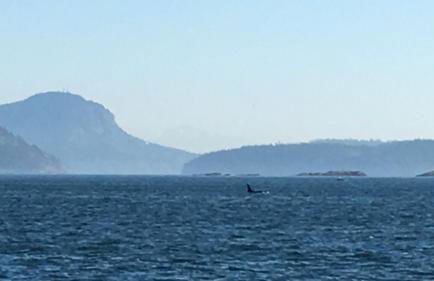 TideAway Farm on Private Island! Escape & Indulge Mother Nature! - Foto 55