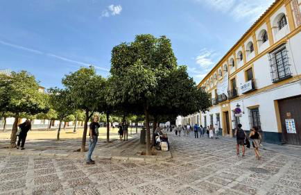Apto T Marqués del Nervión - Garaje Privado con carga eléctrica - Foto 48