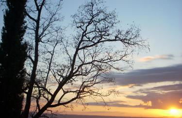 Agriturismo Le Roghete - Foto 58