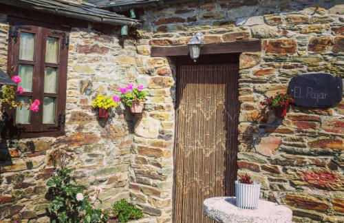 Apartamentos Casa de Riba - Foto 8