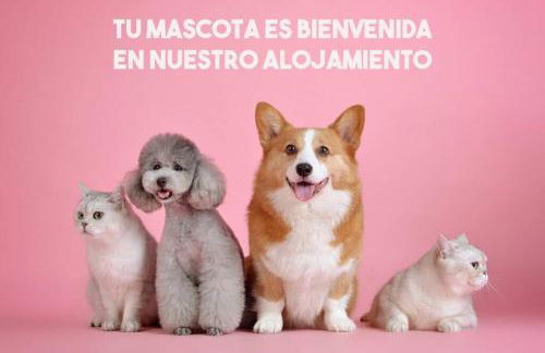 El Chalet de la Poza - Río, barbacoa, Wifi, zona de trabajo, vistas. - Photo 26