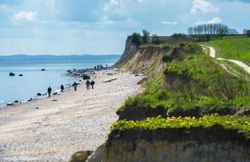 Ostsee-Oase - Foto 15
