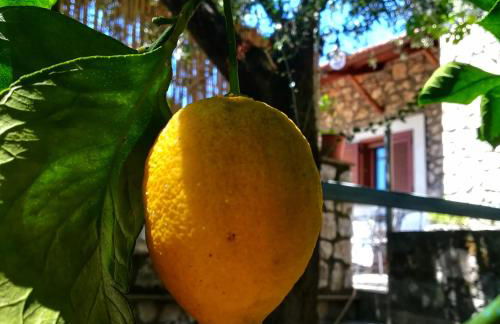 La Mandra, cottage tra gli ulivi - Foto 13