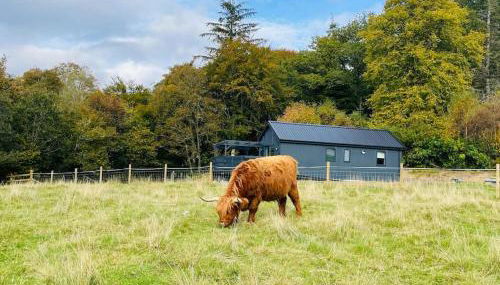 Riverview Lodge & Luxury Hot Tub - Foto 4