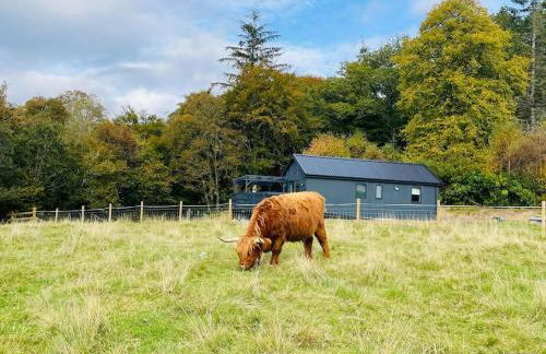 Riverview Lodge & Luxury Hot Tub - Foto 4
