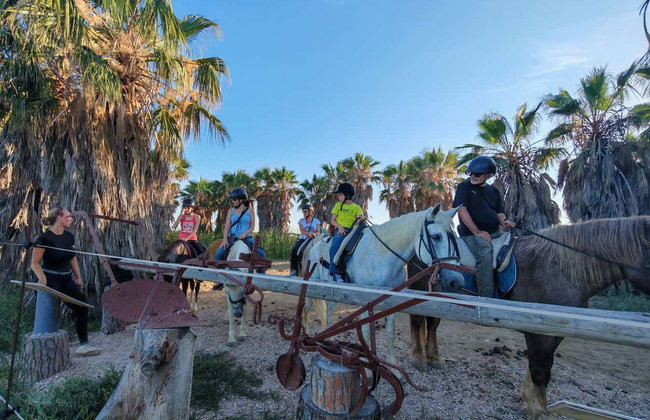 Passeggiata a cavallo al Delta dell'Ebro - Foto 9