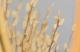 Aerno Home & Azul Ηοme - Ahilli Slow Living - Foto 39