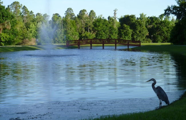 Charming 4-bedroom Villa With Pool & Spa, Only 15 Minutes From Disney! - Foto 15