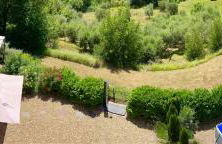 Grove Cottage: Immersed in nature & close to town - Photo 39