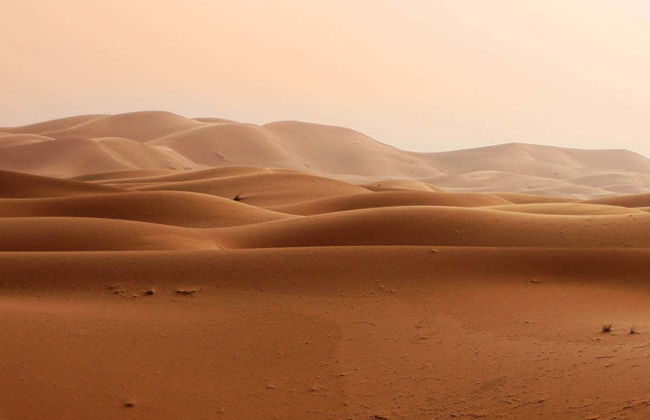 Offerta: Tour in quad + Giro in cammello - Photo 7