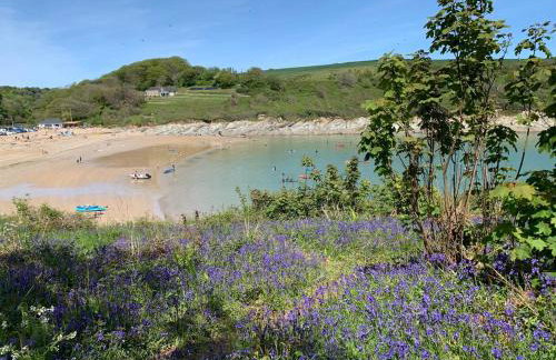 'Shorebird' central apartment, sea views & parking - Foto 15