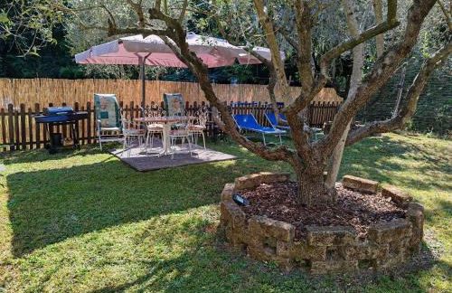 Oasi degli ulivi con piscina privata tra Versilia e Cinque Terre - Foto 33