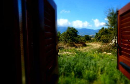 Pezzelelle - Foto 35