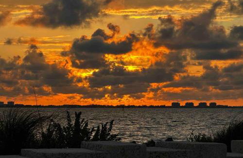 BLUE OASIS An inviting downtown Sarasota retreat - Foto 42