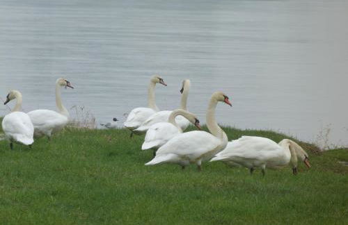 Les Gites De Colliers - Foto 12