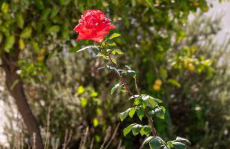 Serenity House - Magic sunsets - Foto 35