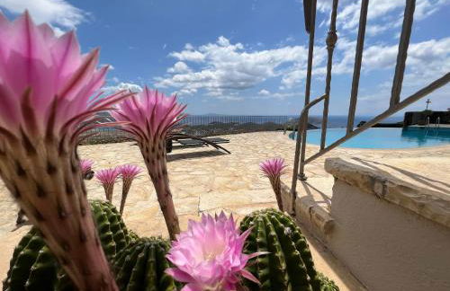 Endless Blue - Photo 66