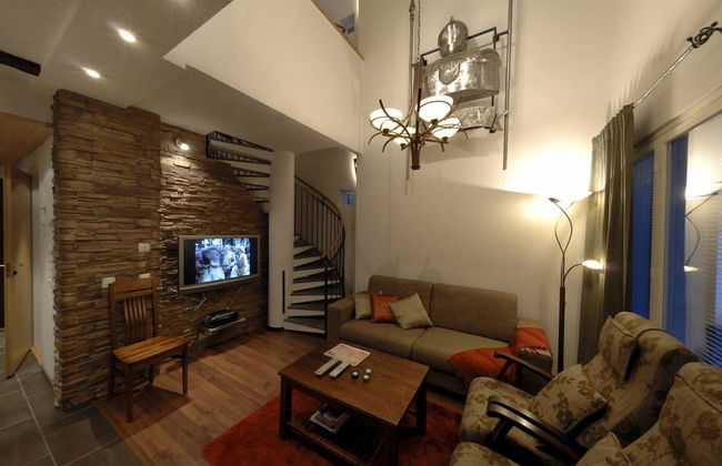 Vuokatin Aateli Castle - Foto 32