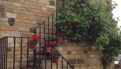 Hops and the Vines - Foto 3